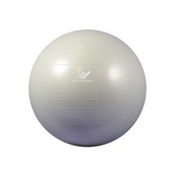26986-885-gym-ball-65.jpg1