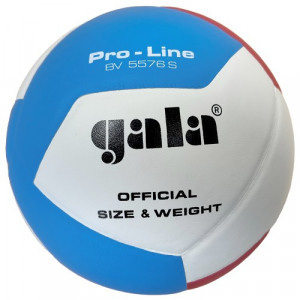 Gala Volleybal Pro Line 5576S