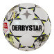 313909_derbystar-brillant-keuken-kampioen-divisie-voetbal-maat-5-2025-2026-wit-zwart-g.jpg1