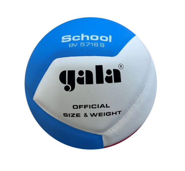 https://www.kwd.nl/media/catalog/product/g/o/goeie_school_volleybal.jpg
