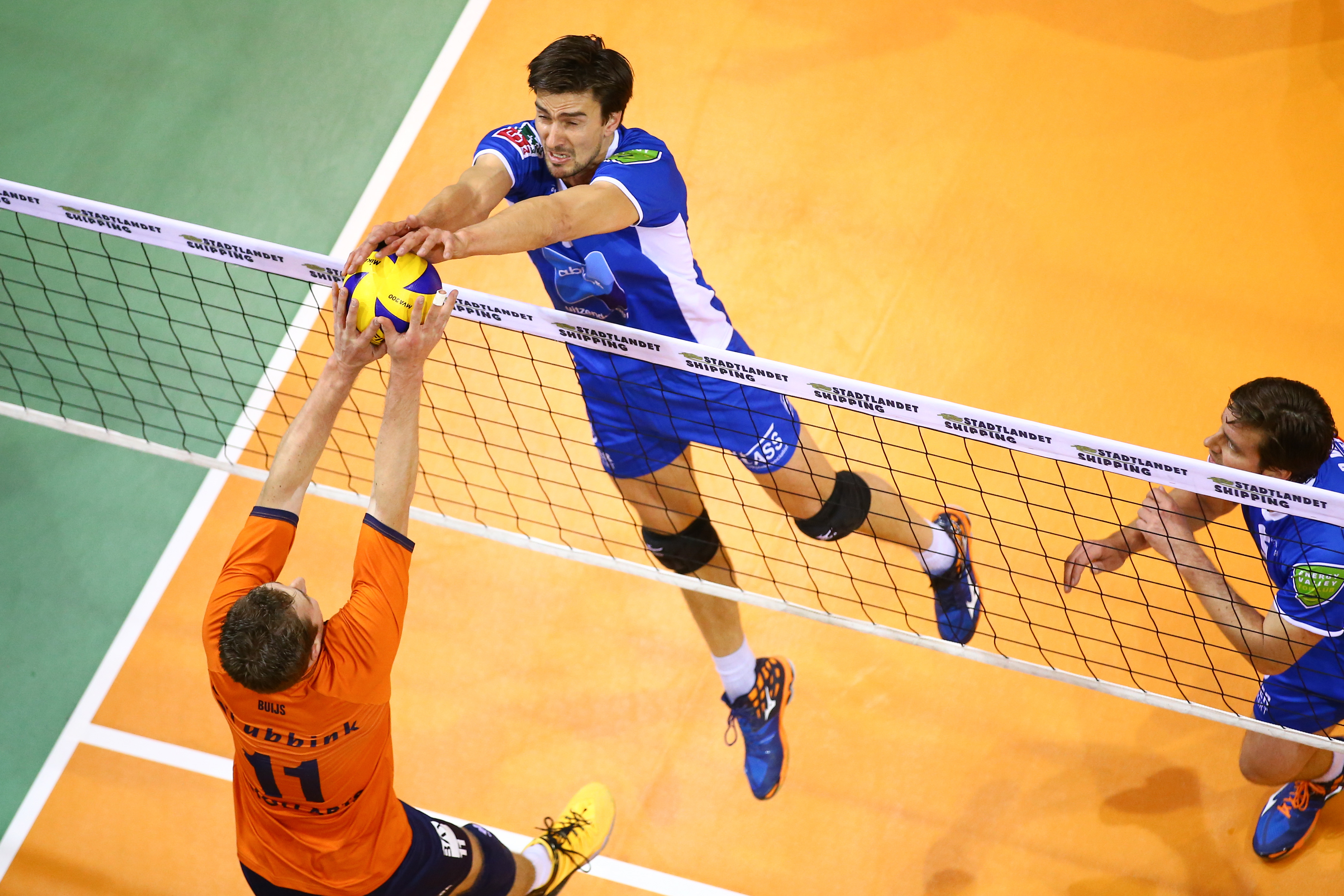 Albany wat betreft Banzai Facts & Figures over Volleybal